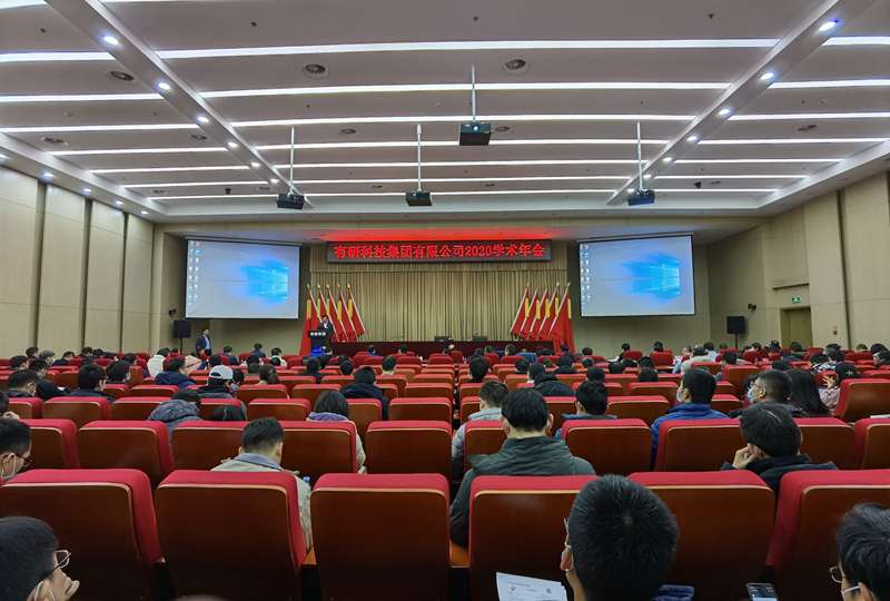 有研集團召開2020年學術年會